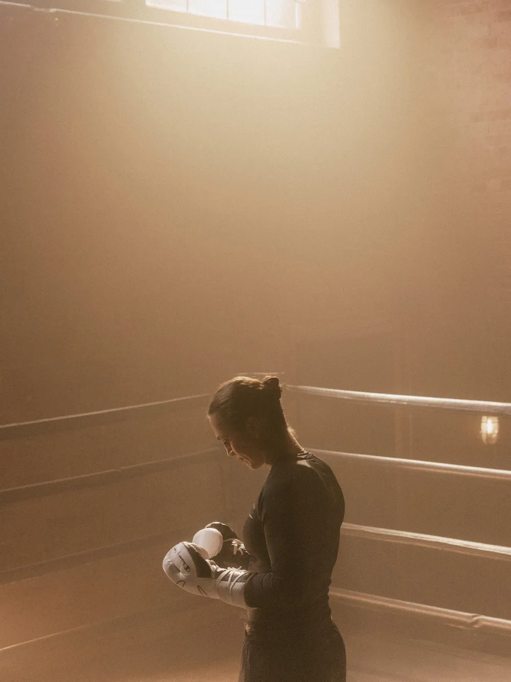 Champion Boxing project image