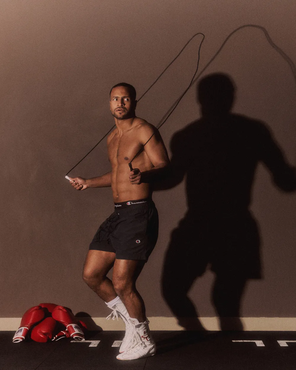 Champion Boxing project image