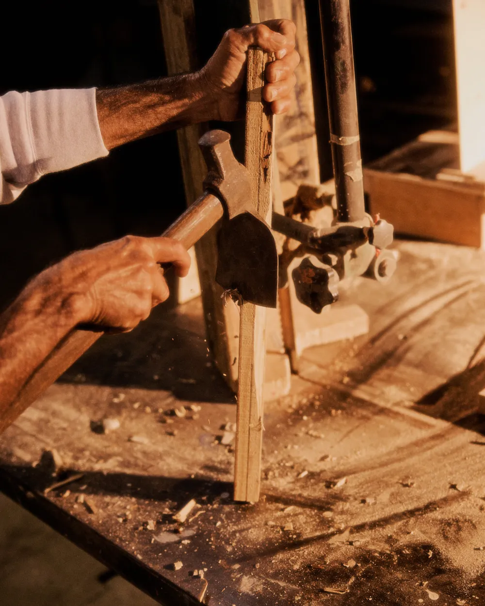 Champion Fabric of Siciliy project image